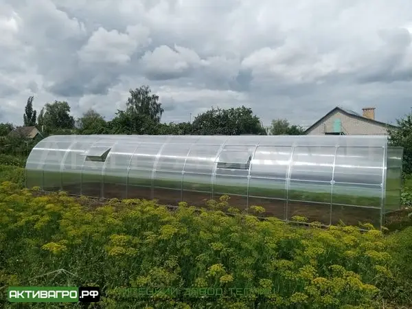 Теплица Ударница Царицынская, ширина 2.5/3 м, труба 40х20 мм Теплица Ударница Царицынская, ширина 2.5/3 м, труба 40х20 мм