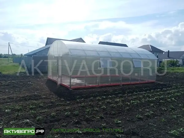 Теплица Ударница Благодатная, ширина 4/5 м, труба 40х20 + 20х20 Теплица Ударница Благодатная, ширина 4/5 м, труба 40х20 + 20х20